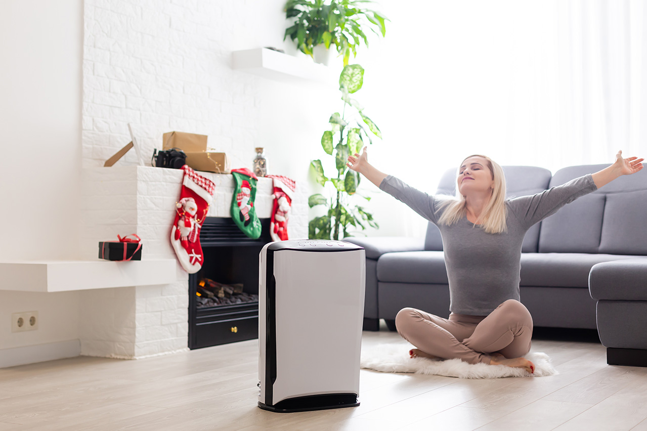 Air purification system capturing allergens and particles