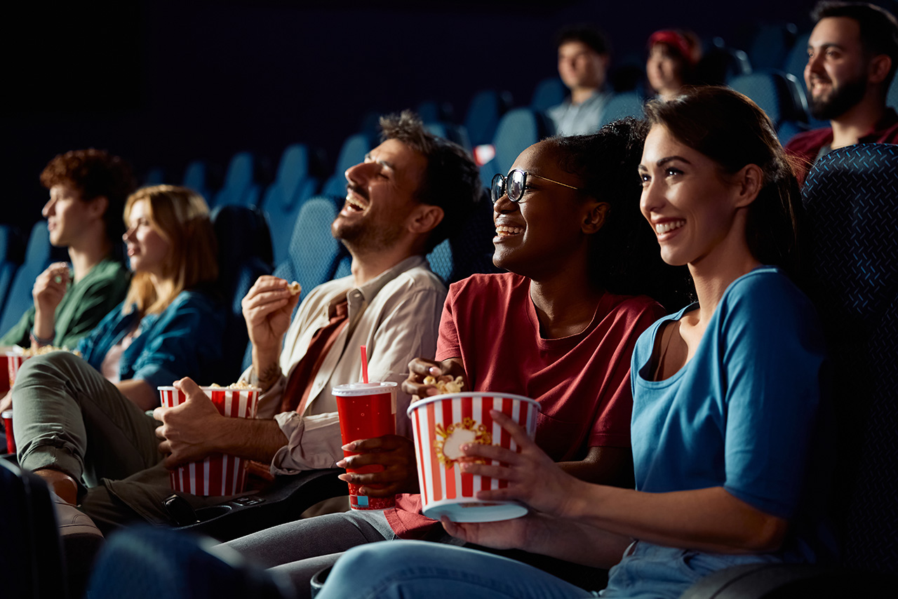 Theater or Media Room - Cinema Experience